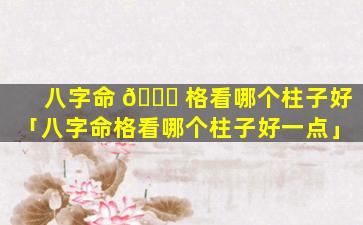 八字命 🐛 格看哪个柱子好「八字命格看哪个柱子好一点」